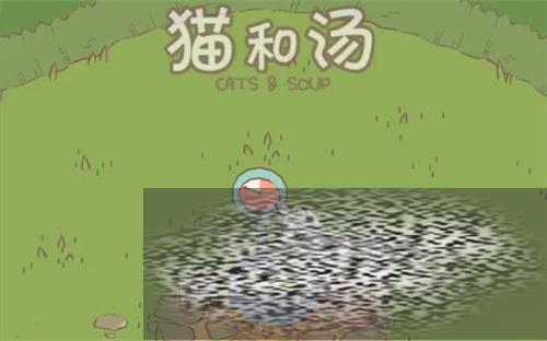 è޶ȫ è޶è