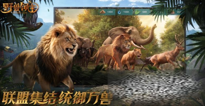 Ұô Ұ绻̳