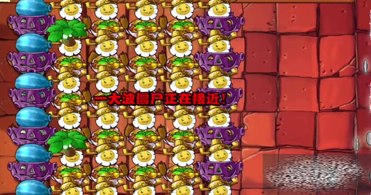 ֲսʬӽյʲô յֲ