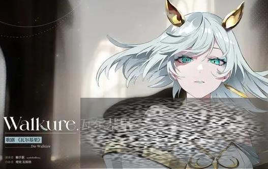 ݴôѡ 쿪Ƽ