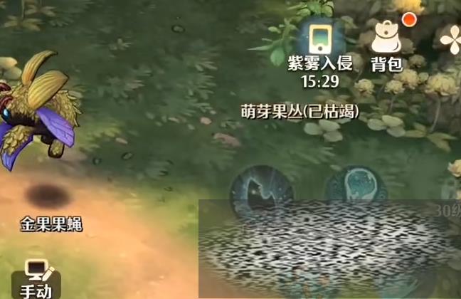 ɭ֮봽 ɭ֮Щ봽