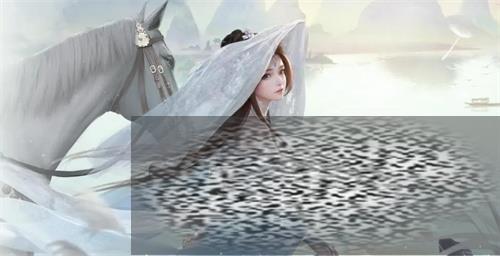 纲īʫô 纲īʫ淨