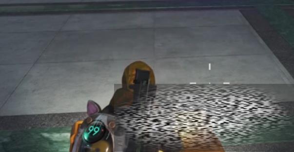 ط ô