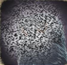 Ѱҹô ѰҹϢ