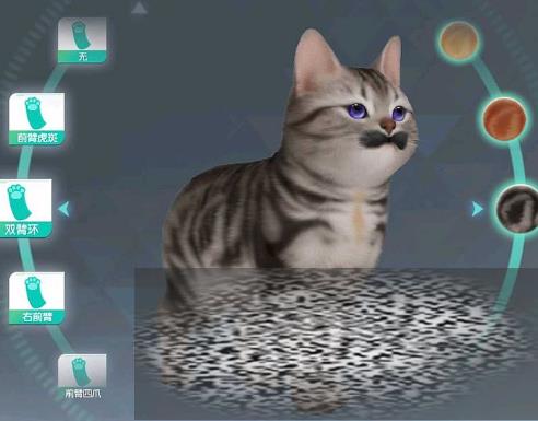 Ǽƻô Ǽƻ幥