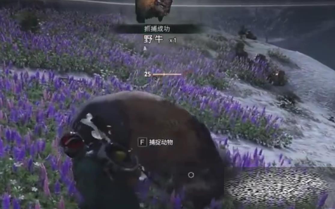 Ұţץ Ұţʲô